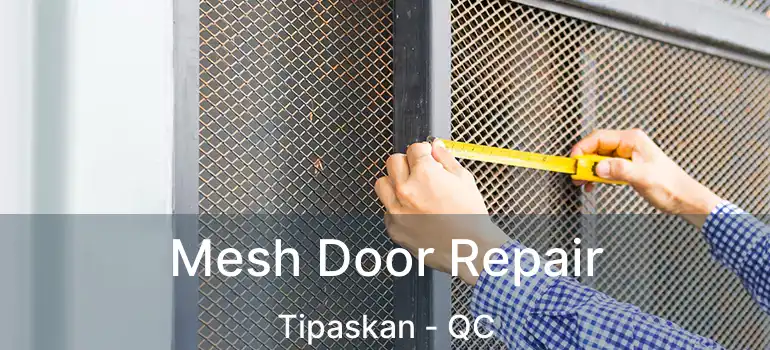  Mesh Door Repair Tipaskan - QC