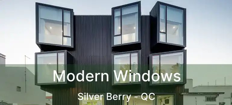  Modern Windows Silver Berry - QC