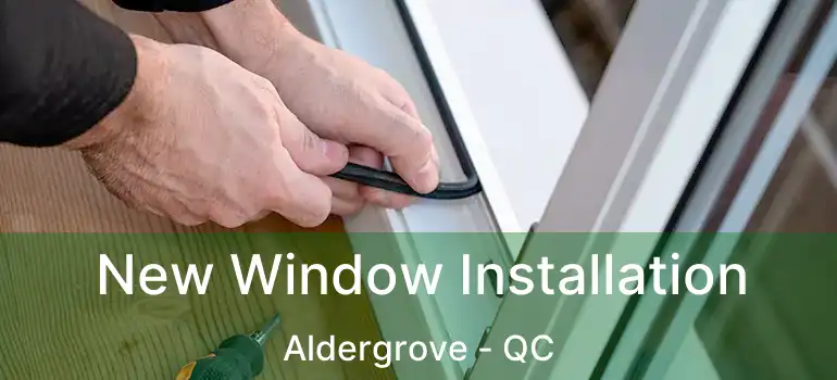  New Window Installation Aldergrove - QC