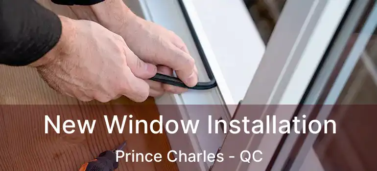  New Window Installation Prince Charles - QC