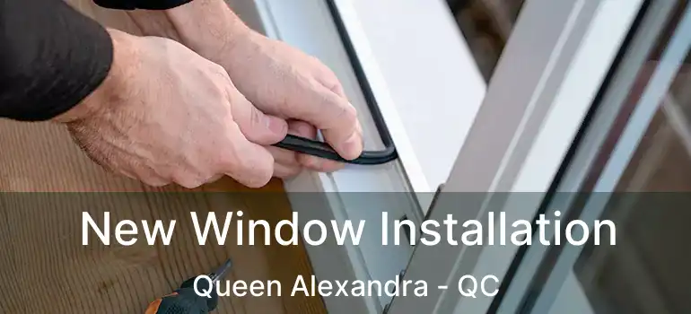  New Window Installation Queen Alexandra - QC