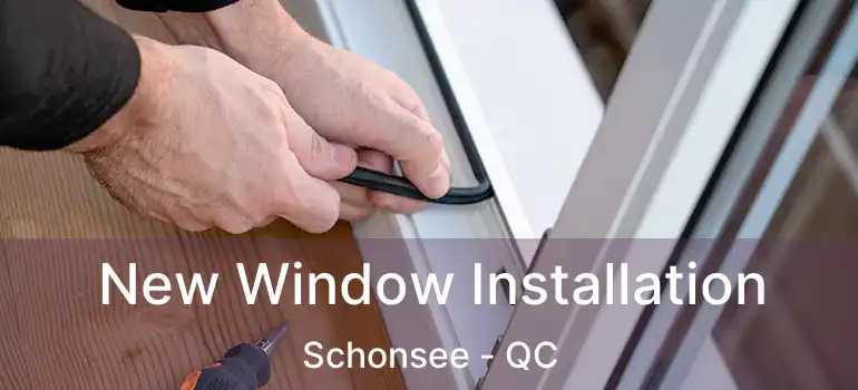  New Window Installation Schonsee - QC