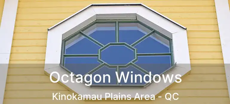  Octagon Windows Kinokamau Plains Area - QC
