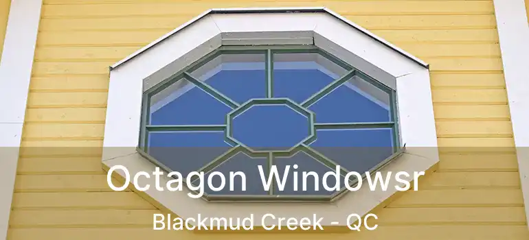  Octagon Windowsr Blackmud Creek - QC