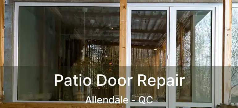  Patio Door Repair Allendale - QC