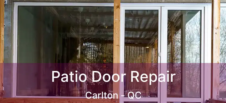  Patio Door Repair Carlton - QC