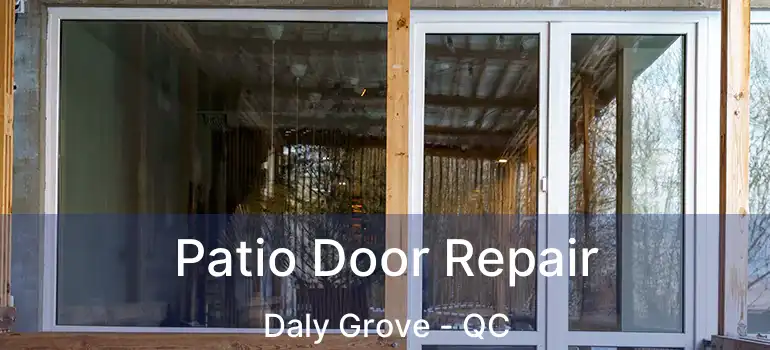  Patio Door Repair Daly Grove - QC