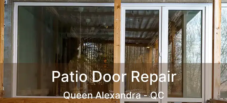  Patio Door Repair Queen Alexandra - QC