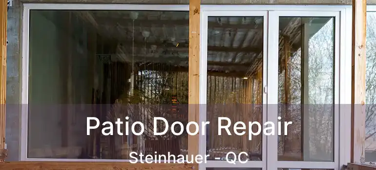  Patio Door Repair Steinhauer - QC