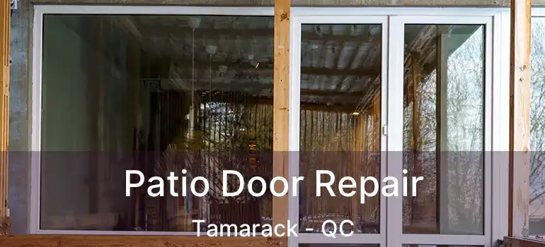  Patio Door Repair Tamarack - QC