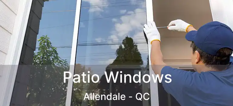 Patio Windows Allendale - QC