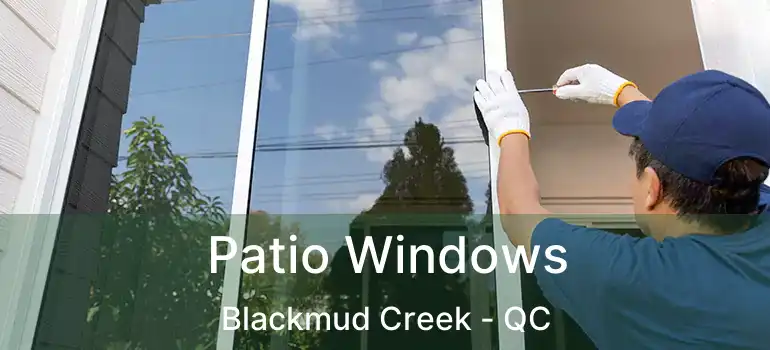  Patio Windows Blackmud Creek - QC