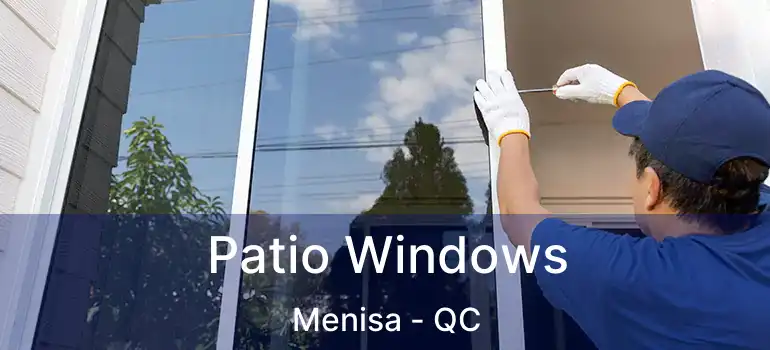  Patio Windows Menisa - QC