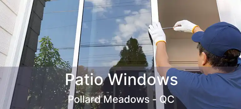  Patio Windows Pollard Meadows - QC