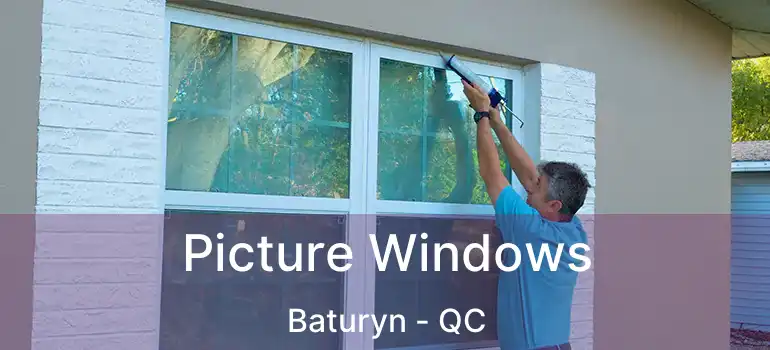  Picture Windows Baturyn - QC