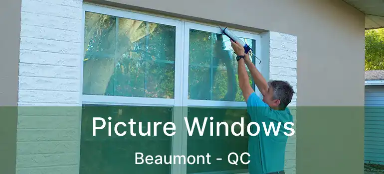  Picture Windows Beaumont - QC