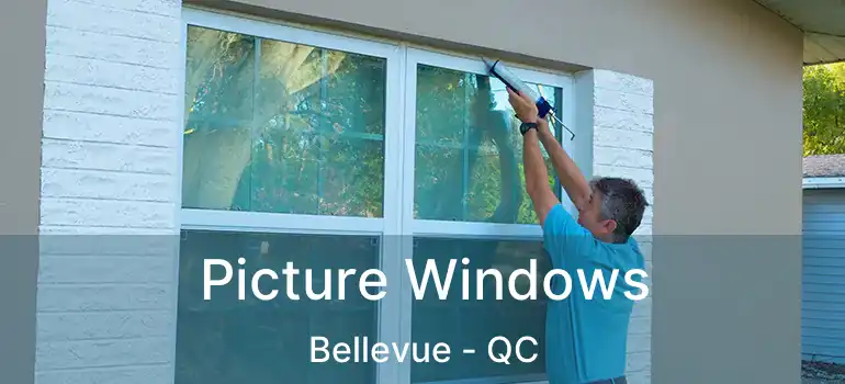  Picture Windows Bellevue - QC