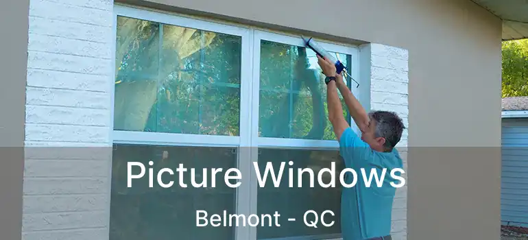  Picture Windows Belmont - QC