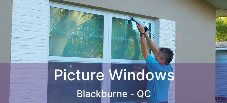  Picture Windows Blackburne - QC