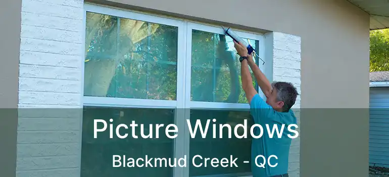  Picture Windows Blackmud Creek - QC