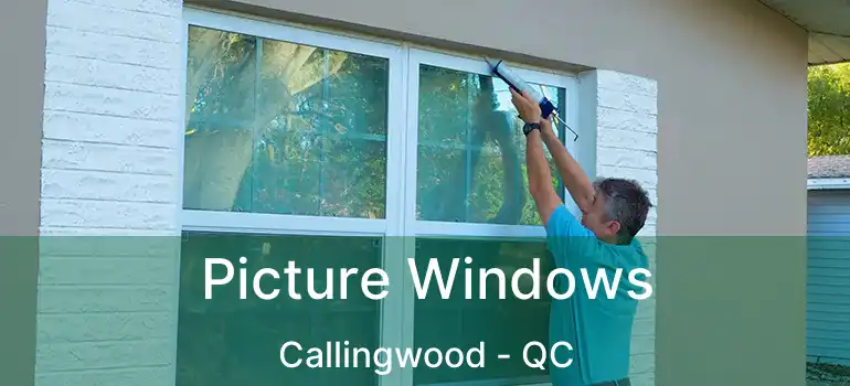  Picture Windows Callingwood - QC