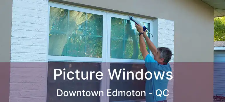  Picture Windows Downtown Edmoton - QC