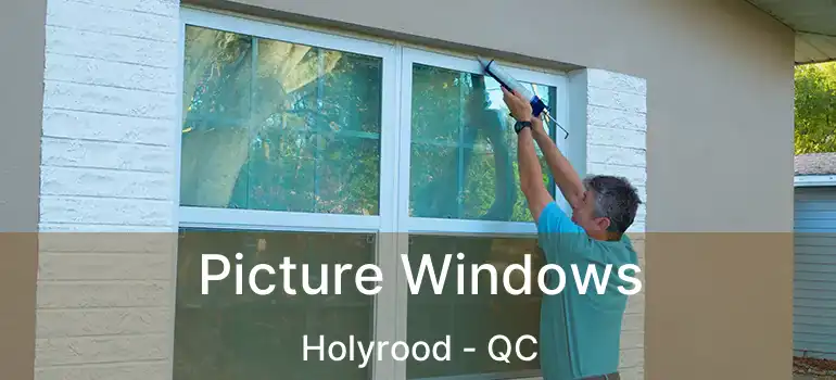  Picture Windows Holyrood - QC