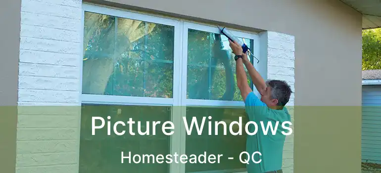  Picture Windows Homesteader - QC