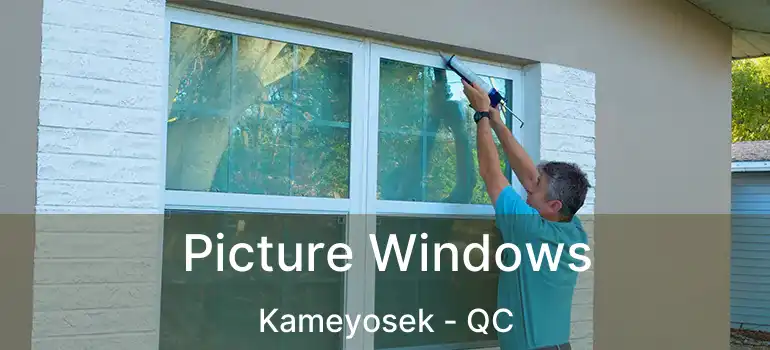 Picture Windows Kameyosek - QC