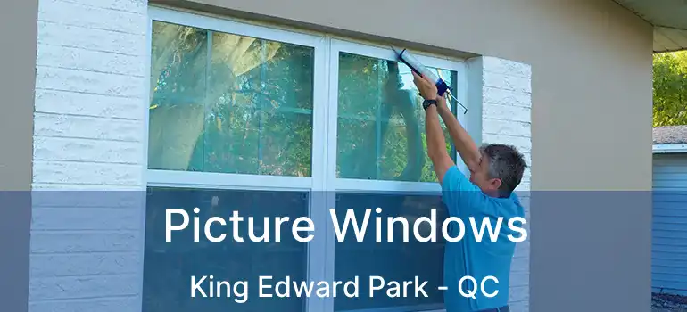  Picture Windows King Edward Park - QC