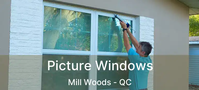  Picture Windows Mill Woods - QC