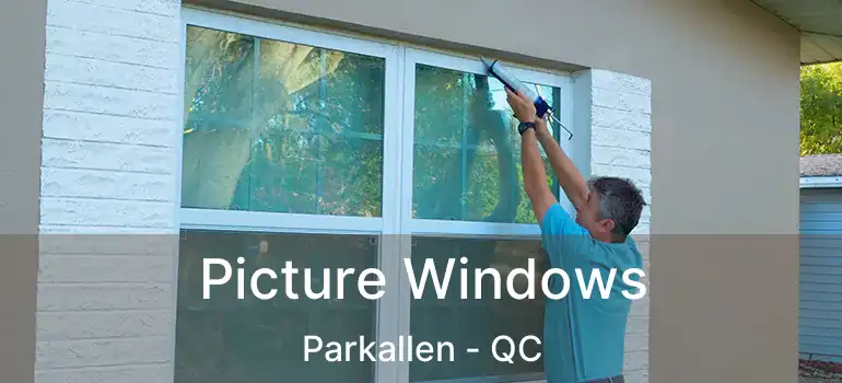  Picture Windows Parkallen - QC