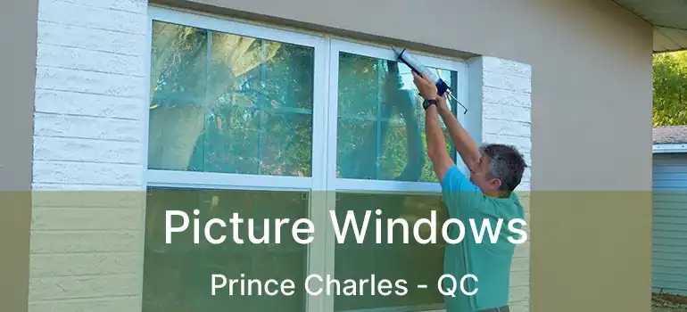  Picture Windows Prince Charles - QC
