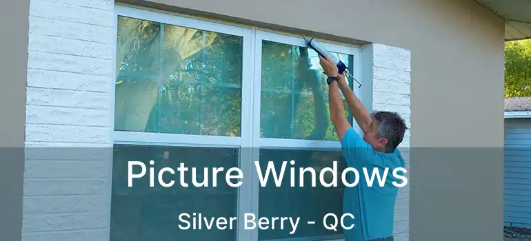 Picture Windows Silver Berry - QC