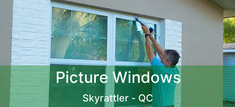  Picture Windows Skyrattler - QC