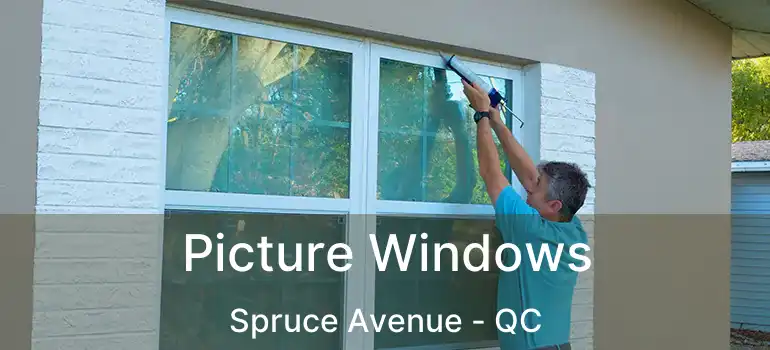  Picture Windows Spruce Avenue - QC