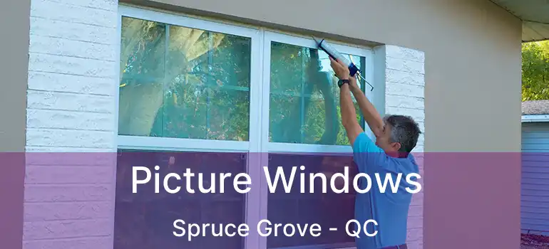  Picture Windows Spruce Grove - QC