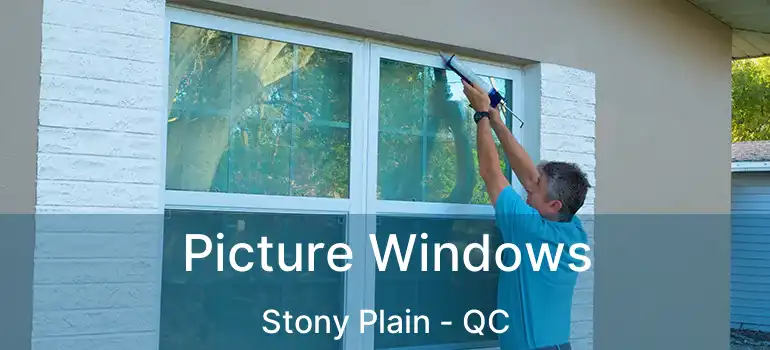  Picture Windows Stony Plain - QC