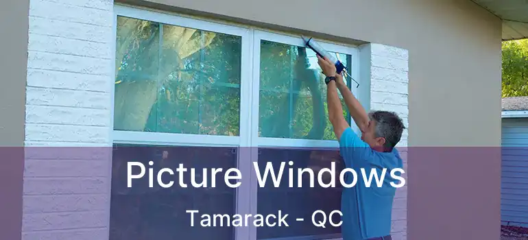  Picture Windows Tamarack - QC