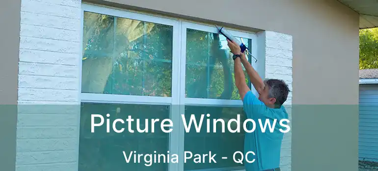  Picture Windows Virginia Park - QC