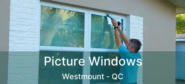  Picture Windows Westmount - QC