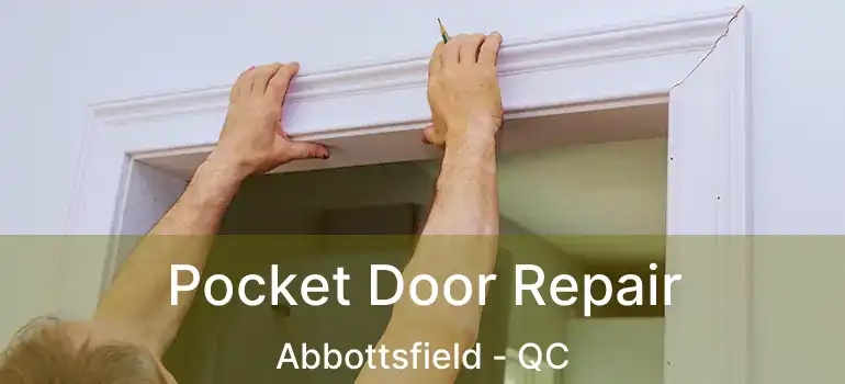  Pocket Door Repair Abbottsfield - QC