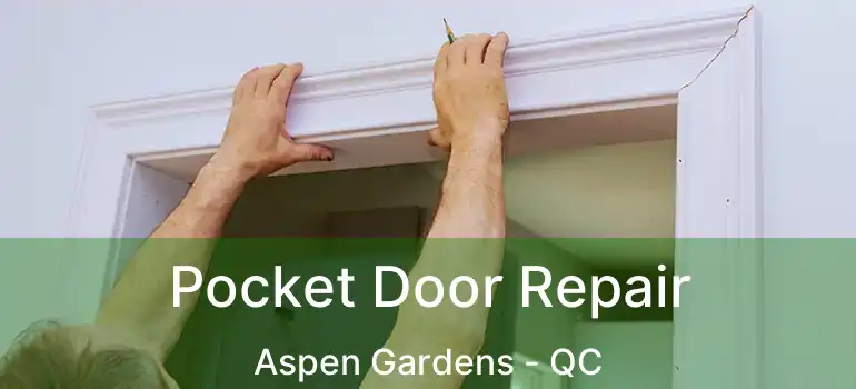  Pocket Door Repair Aspen Gardens - QC
