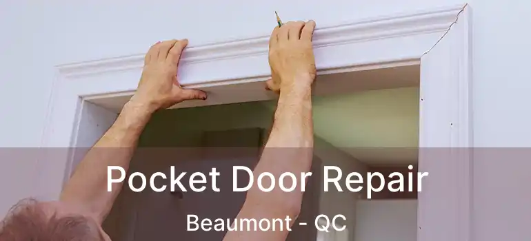  Pocket Door Repair Beaumont - QC