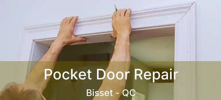  Pocket Door Repair Bisset - QC