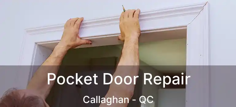  Pocket Door Repair Callaghan - QC