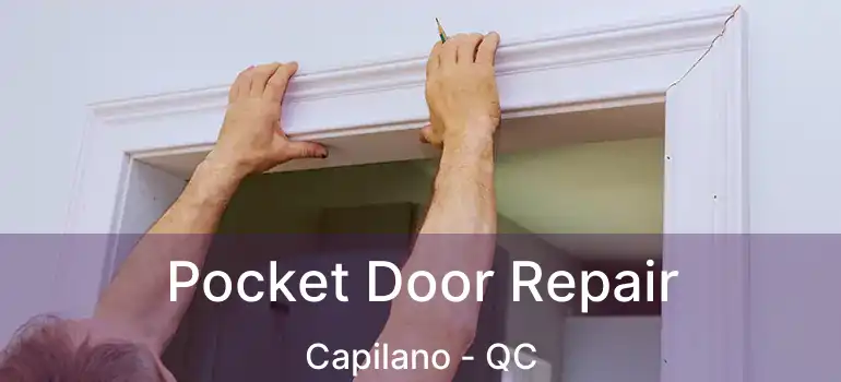  Pocket Door Repair Capilano - QC
