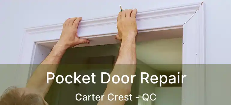  Pocket Door Repair Carter Crest - QC