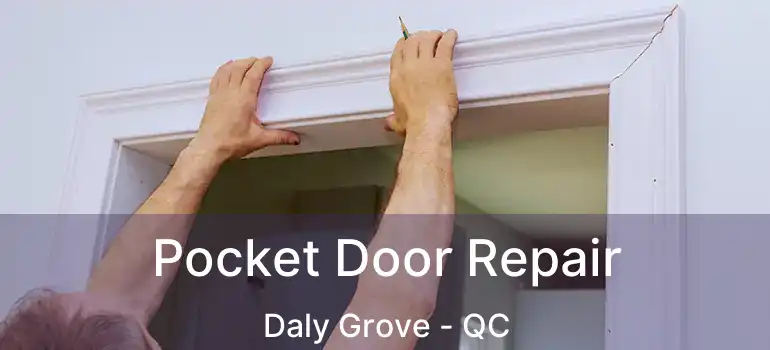  Pocket Door Repair Daly Grove - QC