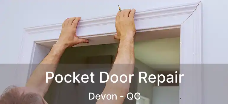  Pocket Door Repair Devon - QC